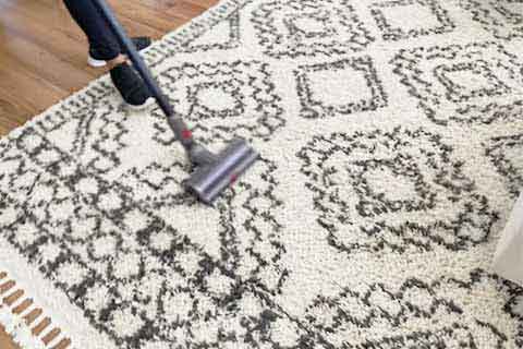House cleaning.We make sure to vacuum all rugs and under furniture