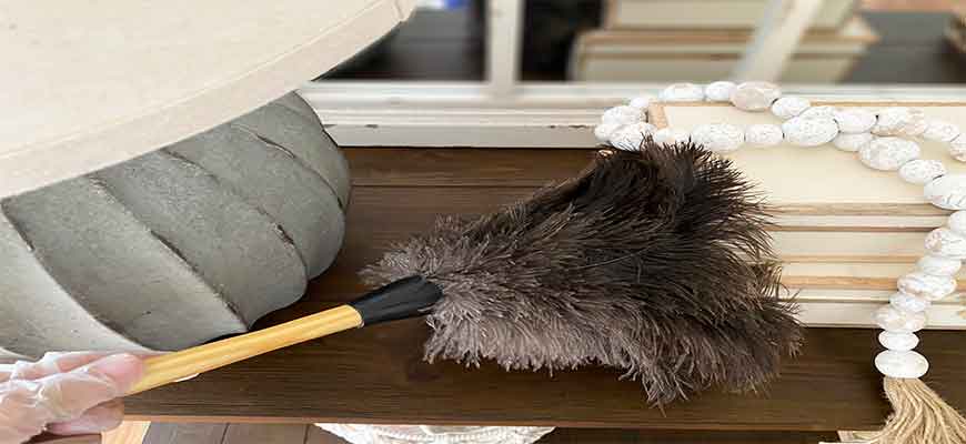 Remove dust from the house,by making a routine cleaning schedule